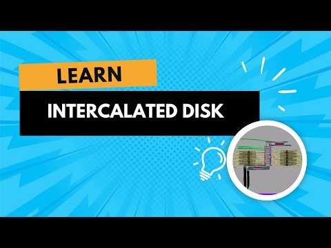 Intercalated Discs Explained | The Secret Connections of Cardiac Muscle