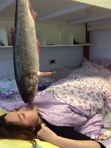 🤣🤣🤣🤣 | Amazing videos