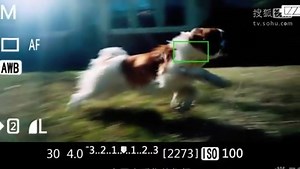 摄影教程 单反相机入门教程 尼康sb910使用技巧