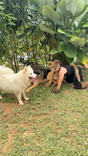 What would you do with a son who wants to turn into a dog?