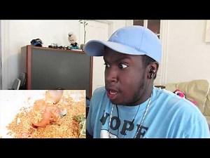 How To Make a Candle [REACTION]