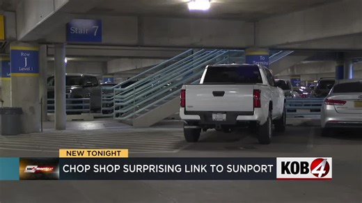 APD investigates stolen car operation at Sunport