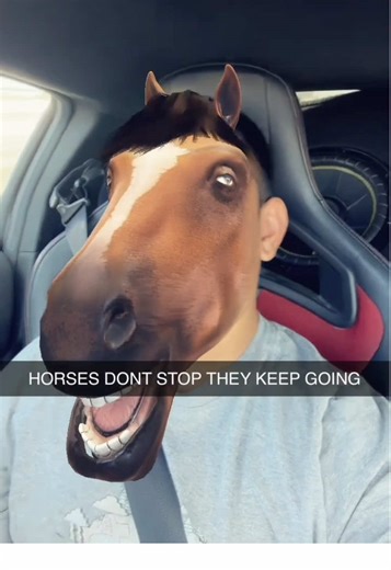HORSES DONT STOP THEY KEEP GOING 🗣️🐴🐎🐎 #fyp #horses #cars #reels