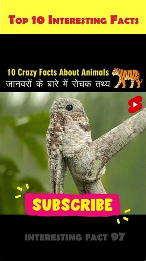 Top 10 Animal facts in hindi | Most Amazing Animals facts | #shorts #facts #animal