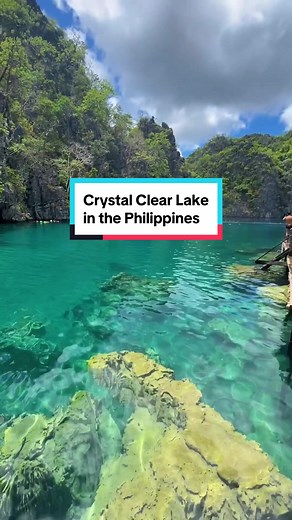 Lost in the beauty of Kayangan Lake 🌿💙 Kayangan Lake is renowned for its incredibly clear and emerald-green waters, surrounded by towering limestone cliffs and lush greenery. It's often described as a #hiddenparadise. Save this for your next travel adventure 🇵🇭 🎥 @Pink Plankton 📍 #KayanganLake, #Palawan, #Philippines #clearwaters #philippinestok