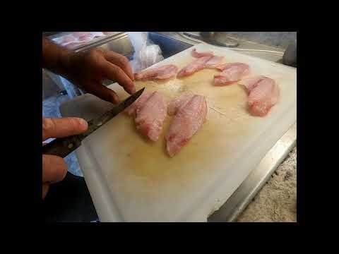 My Porgy process at home.