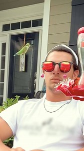 Guy spends hours every day trying to get a hummingbird to land on him — watch how he finally did it 💚 | The Dodo