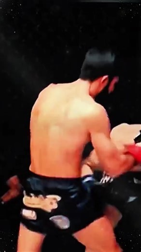 Referee vs fighter#boxing🥊 #usa🇺🇸 #referee #KO #mma