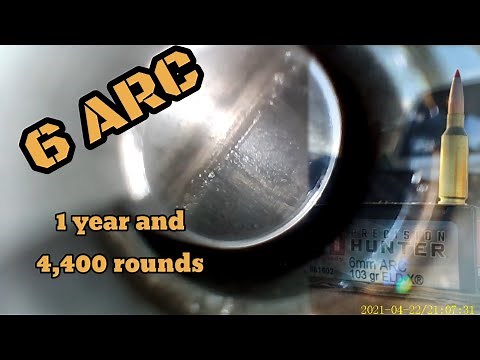 6 ARC after 1 Year | Barrel Life, Pro's & Con's
