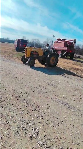 1956 MINNEAPOLIS MOLINE 445 For Sale
