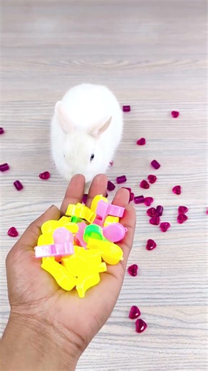 🐰🌈 Marble Beads ✨🌈 Reverse Video ASMR 🐇 #satisfying #reverse #ytshorts #shorts #asmr #rabbit #beads