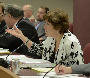 Examining the Effectiveness of Mental Health Programs