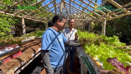 25K views · 1K reactions | DOCTOR of SOIL SCIENCE, BACK to BASIC FARMING at LOW COST TECHNOLOGY TAYO! | Agribusiness | Facebook