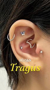 77 reactions · 6 comments | Xỏ Tragus - tai con ik nèee  | COCKSTOCK Piercing & Aftercare | Facebook