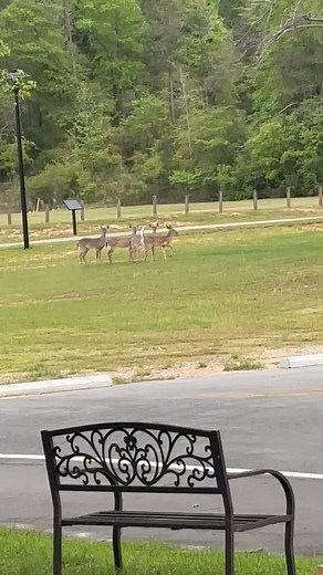 1.2K views · 28 reactions | Rosetta Bulger on Reels | Facebook