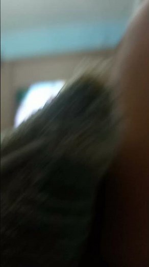 Backyardigans REDOR DO MUNDO DVD 🏀