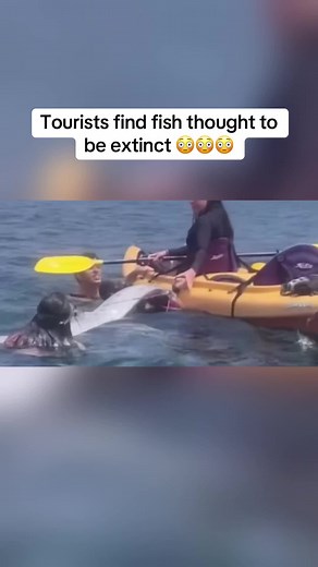 Discover the Fish Once Thought to Be Extinct