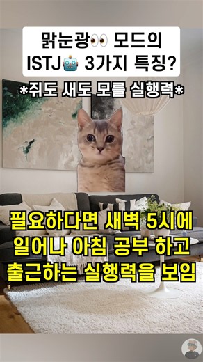 맑눈광👀 모드의 ISTJ🤖 3가지 특징? | MBTI 공감 | 잇티제월드