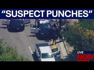 LAPD chase: suspect punches officers after pursuit