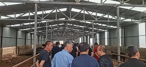 [Hot Item] Modular Steel Frame Greenhouse and Shed