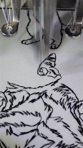 Funny Chonky Cat Embroidery