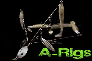 A-Rig Tricks: Everything You Need To Know For Spring And Winter Bass Fishing — Tactical Bassin' - Bass Fishing Blog