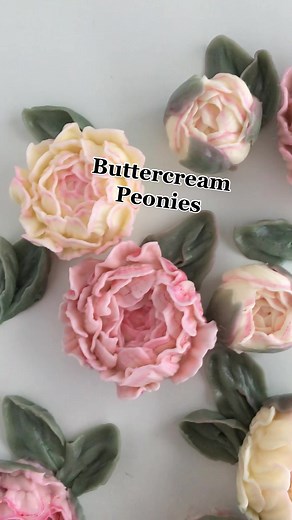 Eat Cake Be Merry - Liz Shim on TikTok