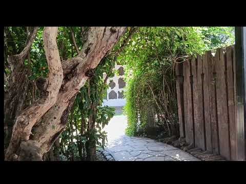 Primer vlog de 2026, paseando por el centro, lecturas del mes y + #2