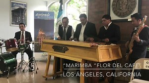 2.7K views · 110 reactions | SÁBADO DE MARIMBA CHAPINA “LÁGRIMAS DE TELMA” Del compositor guatemalteco Gumercindo Palacios les compartimos esta melodía titulada “Lágrimas de Telma” interpretada por la marimba “Flor del Café” de Los Ángeles, California. Feliz fin de semana! | La Voz del Inmigrante | Facebook