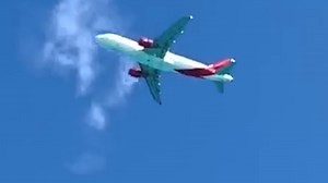 1.5K views · 20 reactions | TERRIFYING moment moment bird flies into...