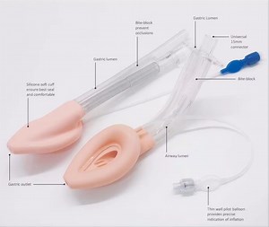 [Hot Item] Disposable PVC Laryngeal Mask Nasopharyngeal Airway Silicone PVC Lma Laryngeal Mask Airway
