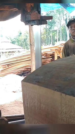 231K views · 1.1K reactions | cutting red stone Meranti logs #wood #sawmillindonesia #skills #kalimantan #woodworking #sawmill | Sawmill indonesia | Facebook