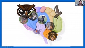 What if we could understand the energy and dysregulation UNDERNEATH behavior? Then we could target the dysregulation- not the behavior! Help the watch dog rest, work together with the owl brain, and trust that prosocial behavior will emerge...because as humans...connection is a biological imperative. We are ALWAYS driven to be in connection with one another. It's not too late to catch the Online Healing Trauma from the Heart with the Brain in Mind! Part 4 airs Monday and but everyone who registe
