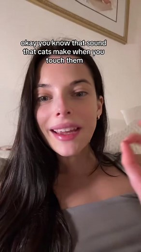 Surprised Cat Activation Noise: What's That Sound?