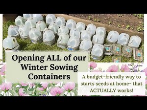 Finally Opening Our Winter Sowing Containers- INCREDIBLE RESULTS!