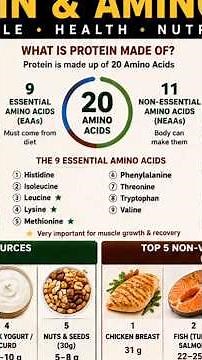 Protein Explained in 3 Minutes🤔😀 | Complete Guide to Amino Acids & Best Protein Sources #shorts