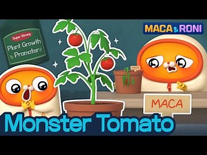 [MACA&RONI] Tomato Monster | Macaandroni Channel