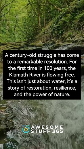 For the first time in a century, the Klamath River is running free, no longer held back by dams. It’s a rare victory for ecosystems, salmon populations, and Indigenous communities who fought for generations. What does this restoration story make you think about humanity’s relationship with rivers? | Awesome Stuff 365 - Outdoors