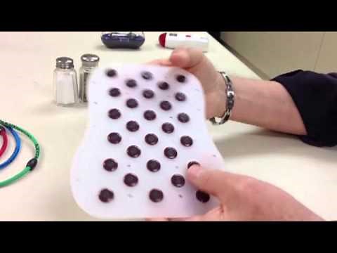 Nikken's New Magnetic DynaFlux Products In Action