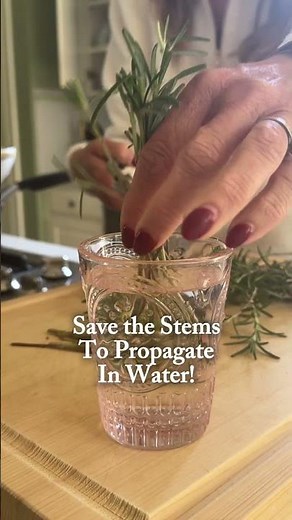 Don’t buy the expensive stuff! Make your own garden rosemary hair oil instead #hair #rosemary #herbs