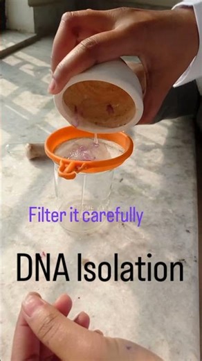 DNA Isolation practical .Class-12th