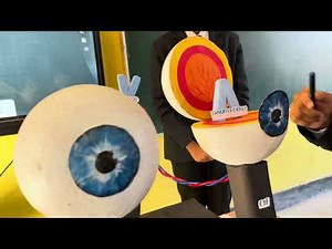 Working of Human Eye Model Demonstrates by Ritika and her Co. Class10. Students