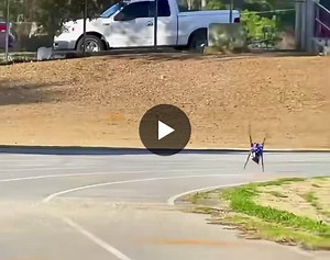 Six legged robot is fast! 💨 Back in 2015, a small research team at the Florida Institute for Human and Machine Cognition developed HexRunner. Their robot reached an estimated 30–33 mph on open… | Lukas M. Ziegler | 102 comments