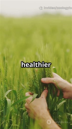 Smart Agriculture: Real-Time Plant Monitoring!#sciencefather #researchaward