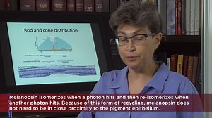 【芝加哥大学医学神经生物学课程】10.8 非知觉性视觉功能 Non-perceptual Visual Functions