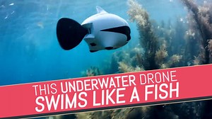 12K views · 87 reactions | This fishy drone is perfect for getting your feet wet in underwater photography and video. | Tech in Asia | Facebook