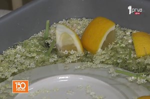 Kako se pravi sirup od zove i kako on utiče na organizam? | Video | Prva Televizija