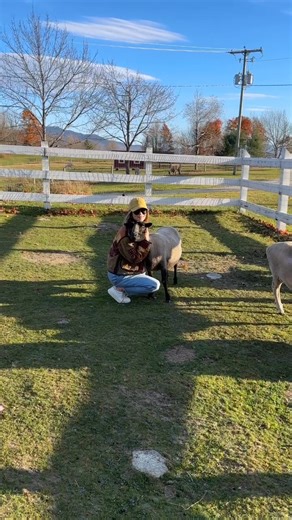 1.9K views · 14 reactions | Experience the beauty of leaf-peeping season with our Fall Into Savings package, which offers 20% off our best available rate plus complimentary daily breakfast with a limited-time fall promotion for stays until December 1, 2025. https://www.mountainviewgrand.com/fall-into-savings | Mountain View Grand Resort & Spa | Facebook