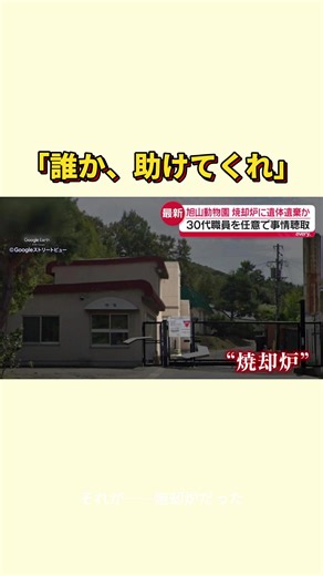 動物園焼却炉に妻を遺棄か 夫を任意聘取#事件 #映画 #news #fyp | animal factory movie