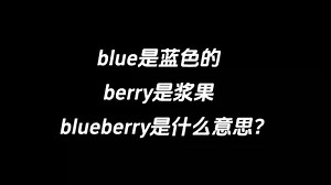 blue是蓝色的，berry是浆果，blueberry是什么意思？_哔哩哔哩_bilibili